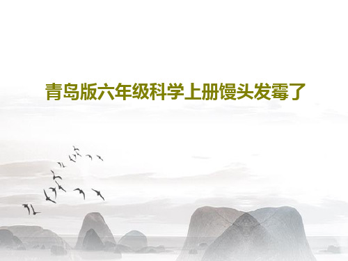 青岛版六年级科学上册馒头发霉了26页PPT