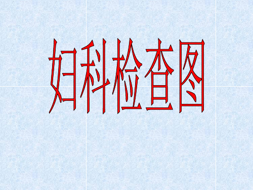 妇科检查图PPT课件