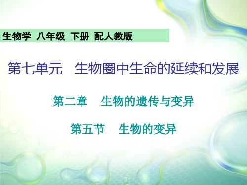 2020年春人教版八年级下册生物课件：7.2.5生物的变异(共23张PPT)