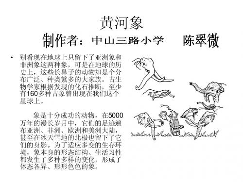 认识黄河象