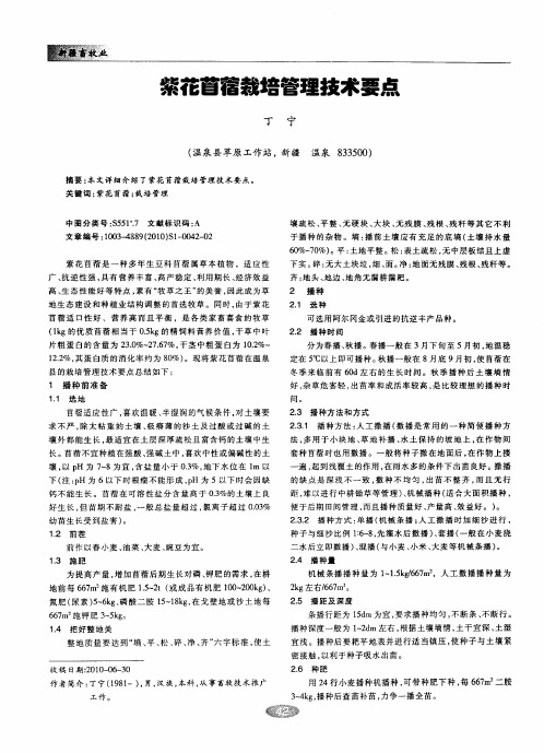 紫花苜蓿栽培管理技术要点