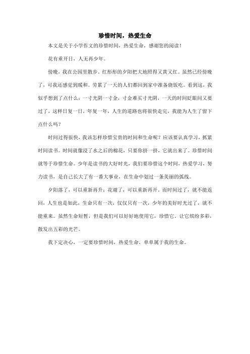 珍惜时间,热爱生命_小学作文