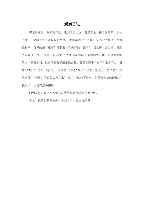 观察日记_小学五年级作文300字