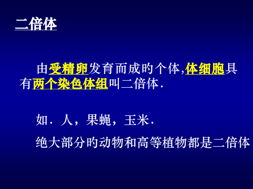 单倍体和多倍体育种市公开课获奖课件省名师示范课获奖课件