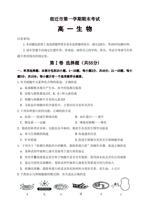 江苏省宿迁市第一学期期末考试高一生物试卷(有答案)