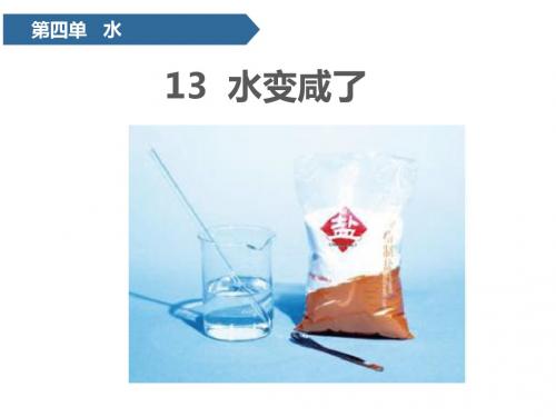 一年级上册科学 第四单元  13 水变咸了 青岛版(六年制)