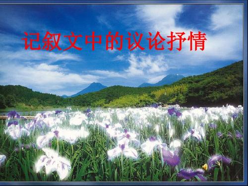 作文指导记叙文中的议论抒情