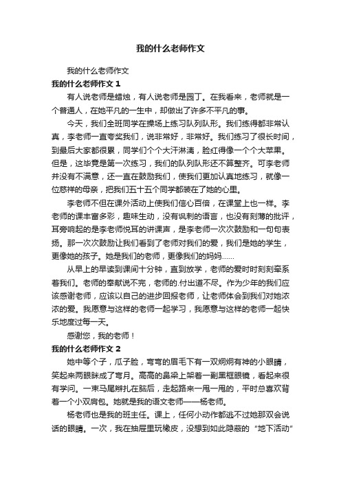 我的什么老师作文