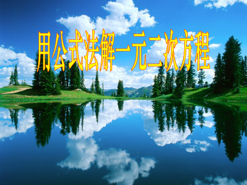 [名校联盟]江苏省太仓市第二中学九年级数学复习课件：一元二次方程的解法(公式法)