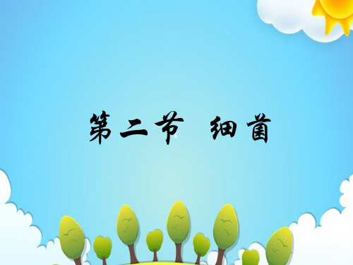 青岛版小学科学五年级上册细菌课件(2)