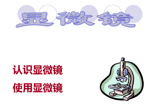 初中科学华东师大版七年级上册第二节 细胞