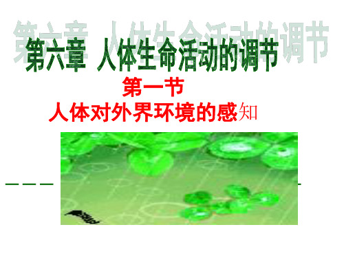 人教版初中生物七年级下册课件-4.6.1 人体对外界环境的感知1