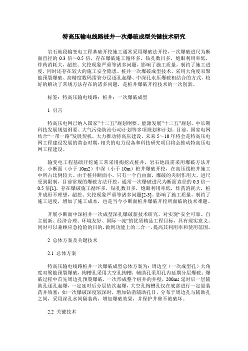 特高压输电线路桩井一次爆破成型关键技术研究