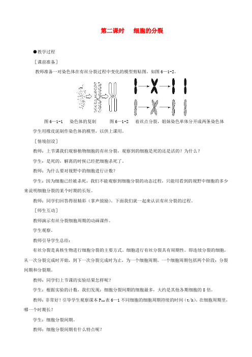 高一生物 细胞的增殖 第2课时示范教案 新人教版