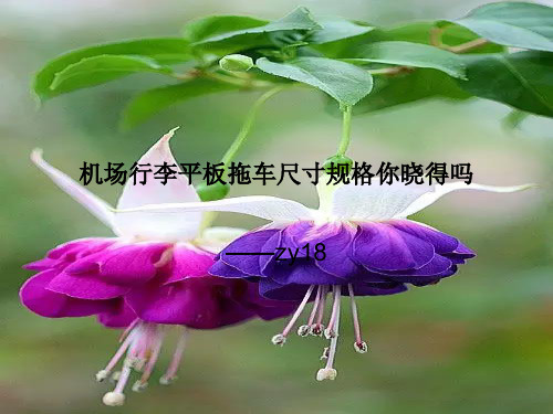 机场行李拖车尺寸规格你晓得吗