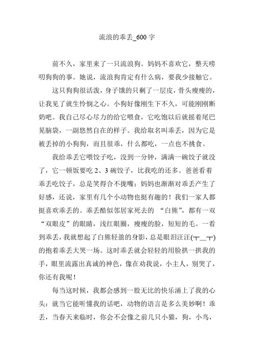 流浪的乖丢_600字