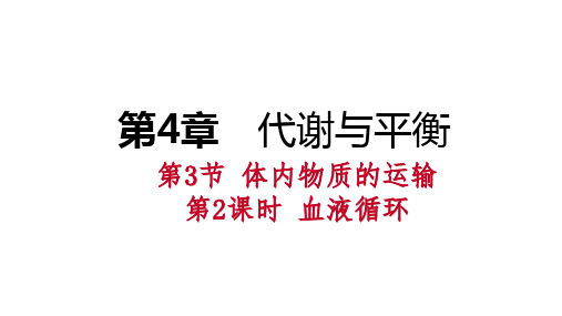 秋浙教版九年级科学上册4.3.2血液循环课件(共28张PPT)
