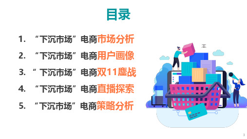 0442  2019年电商“下沉市场”研究报告(28页)