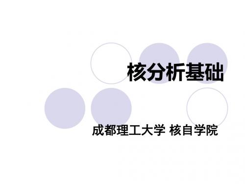 核分析的技术-12