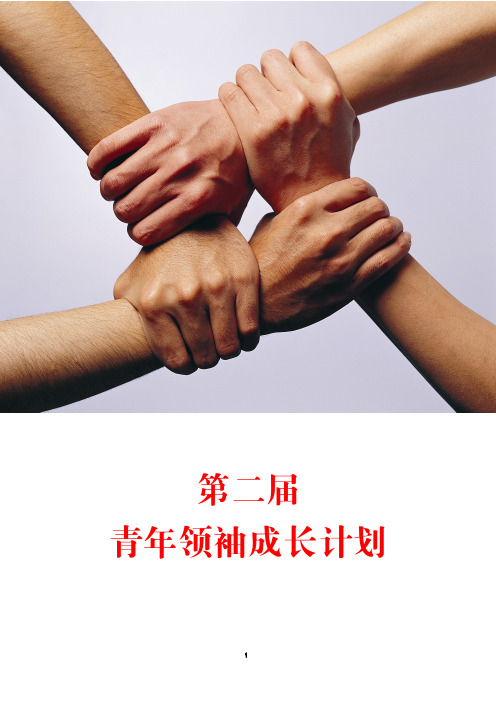 第二届青年领袖成长体验计划