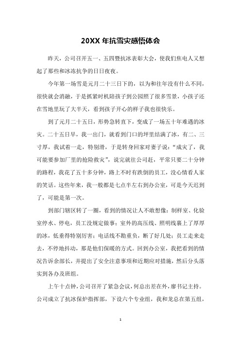 20XX年抗雪灾感悟体会
