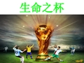 《生命之杯》演示文稿