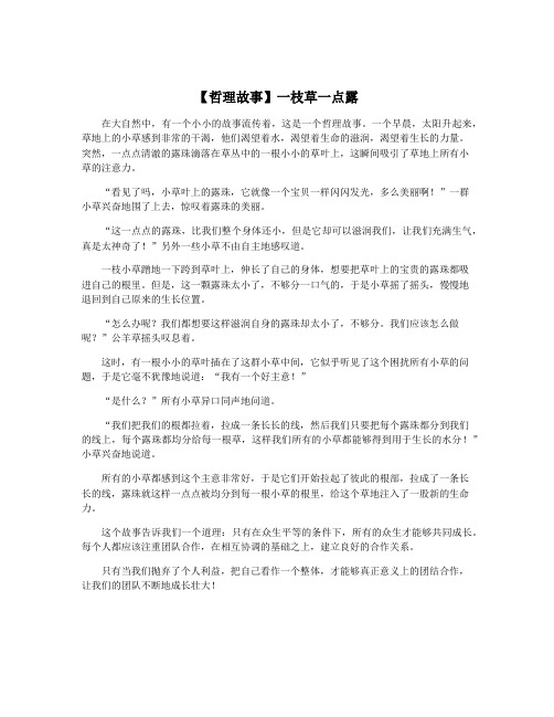 【哲理故事】一枝草一点露