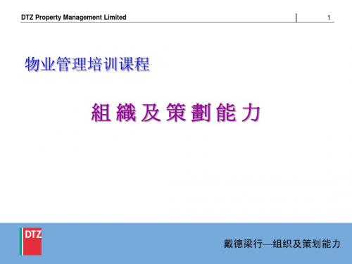组织及策划能力(DTZ)