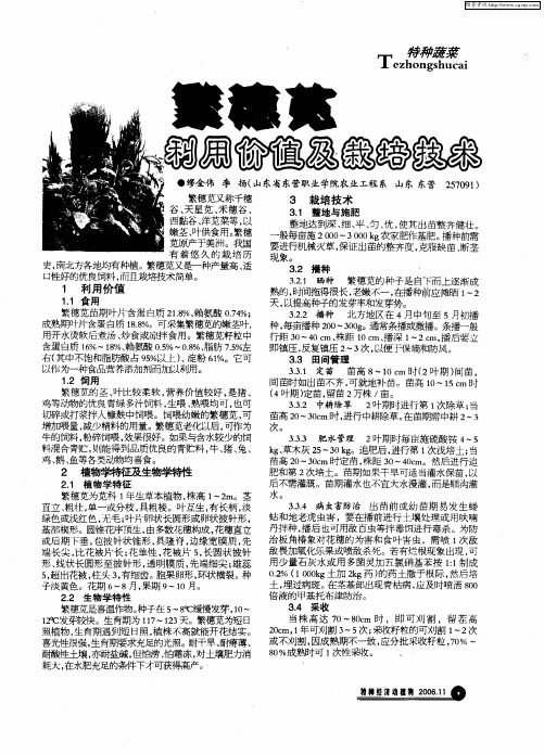 繁穗苋利用价值及栽培技术