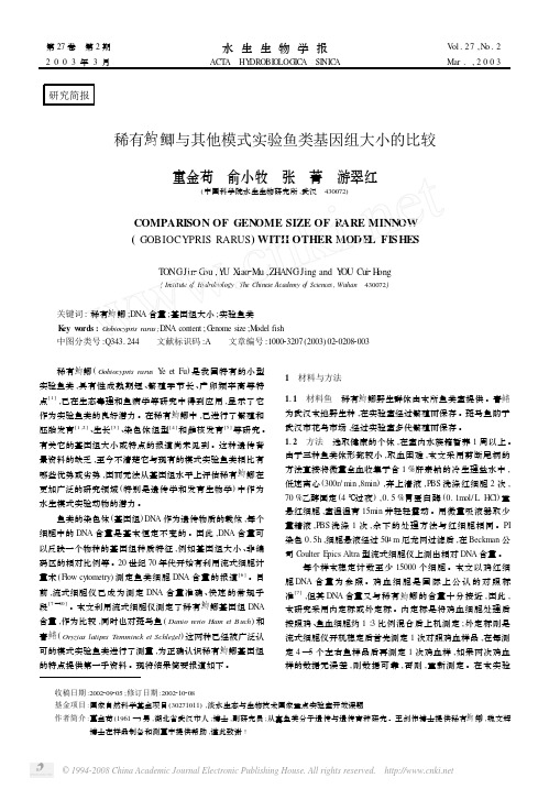 稀有鮈鲫与其他模式实验鱼类基因组大小的比较