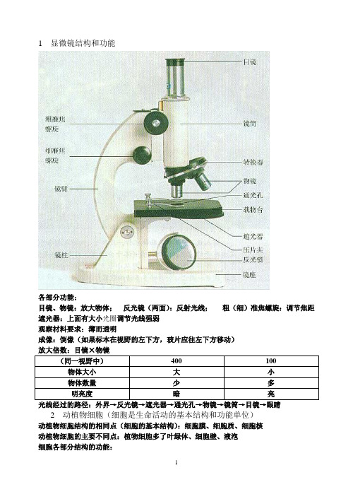 显微镜结构和功能