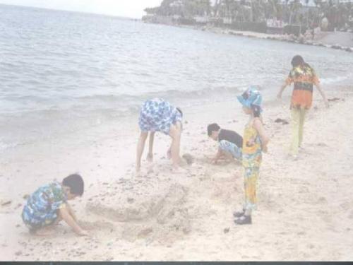 《赶海》第一课时ppt课件