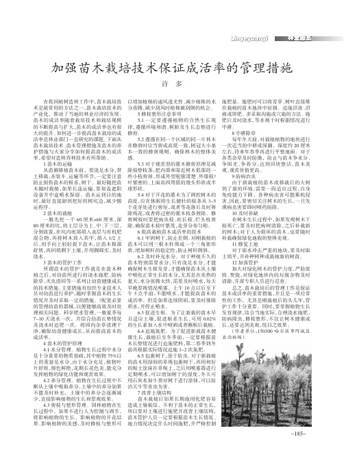 加强苗木栽培技术保证成活率的管理措施