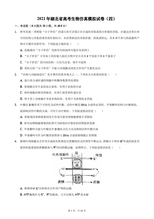 2021年湖北省高考生物仿真模拟试卷(四)