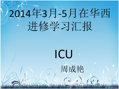 医院进修汇报.ppt