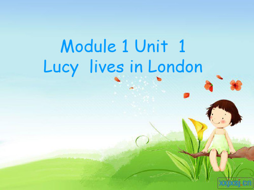 新标准英语第七册LUCY_LIVES_IN_LONDON课件