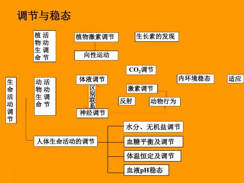 植物生命活动的调节ppt7 人教课标版