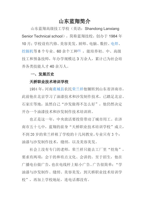 山东蓝翔简介