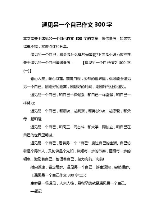 遇见另一个自己作文300字