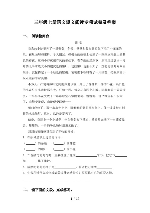 三年级上册语文短文阅读专项试卷及答案