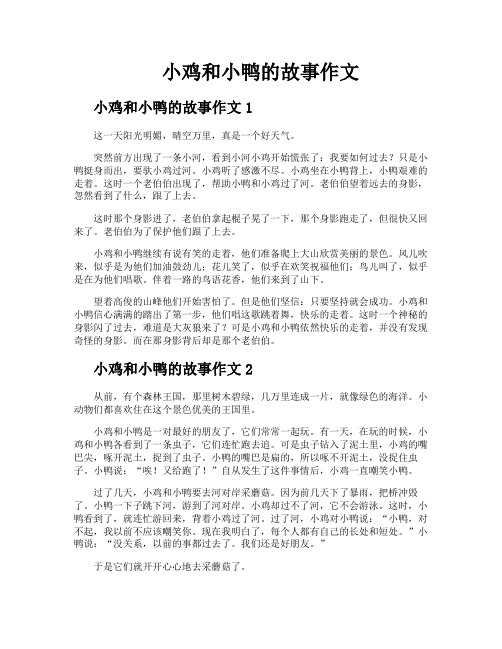 小鸡和小鸭的故事作文