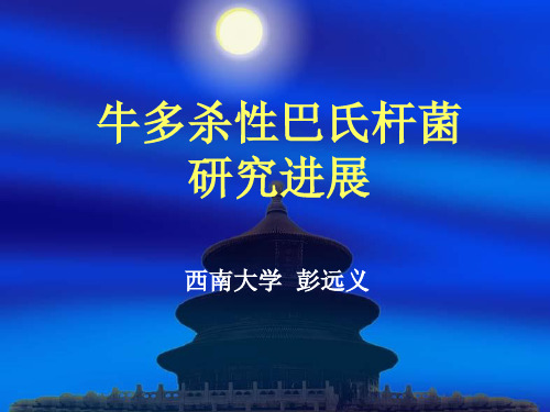牛多杀性巴氏杆菌研究进展