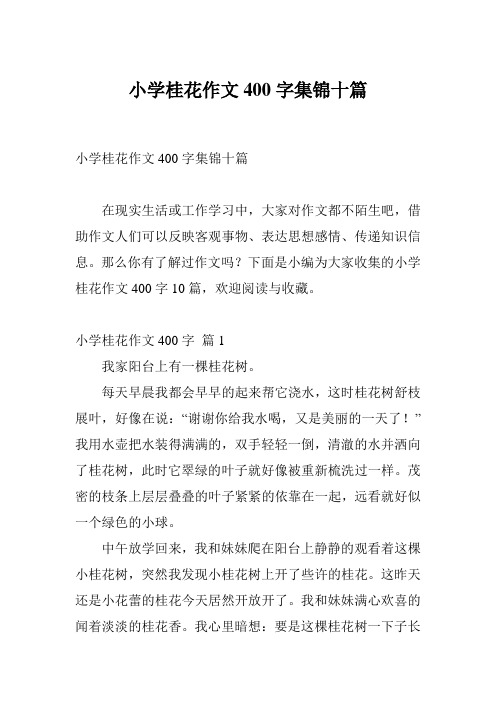 小学桂花作文400字集锦十篇