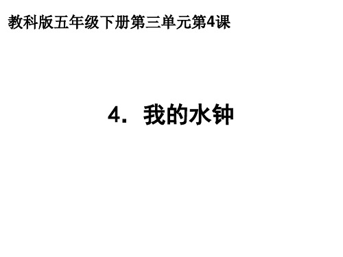 2020小学五年级下册科学课件-3.4我的水钟教科版(10张)ppt课件
