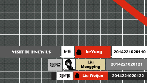 迪拜。(PPT很漂亮哦~)