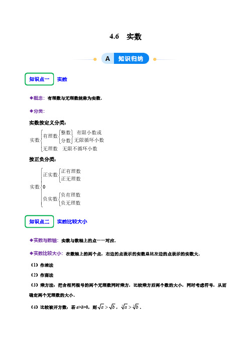 4.6 实数(教师版) 2024-2025学年七年级数学上册同步课堂(鲁教版五四制)