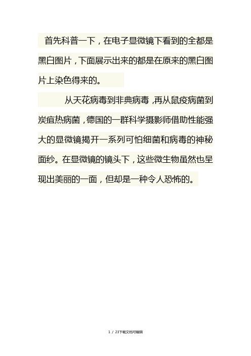 致命的美丽：显微镜下的细菌和病毒