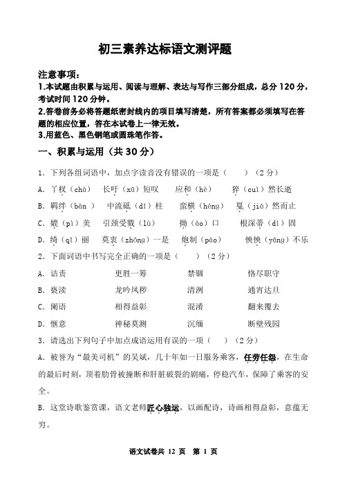 初三语文素养测评试卷