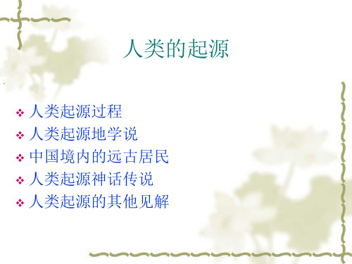 人类的起源