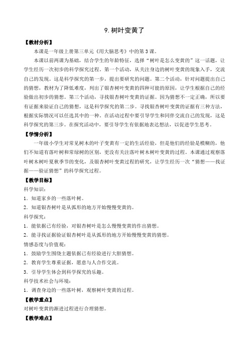 苏教版小学科学一年级上册第三单元《9.树叶变黄了》教学设计4